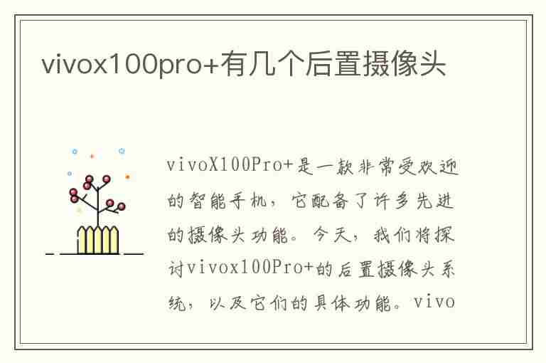 vivox100pro+有几个后置摄像头